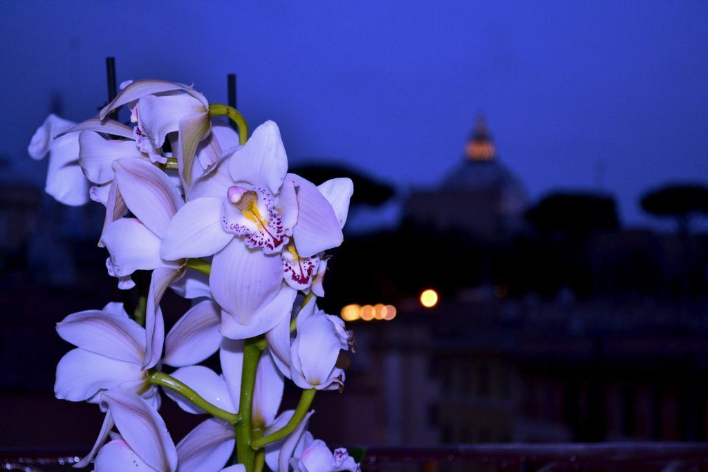 Apartamento Notti Al Vaticano Roma